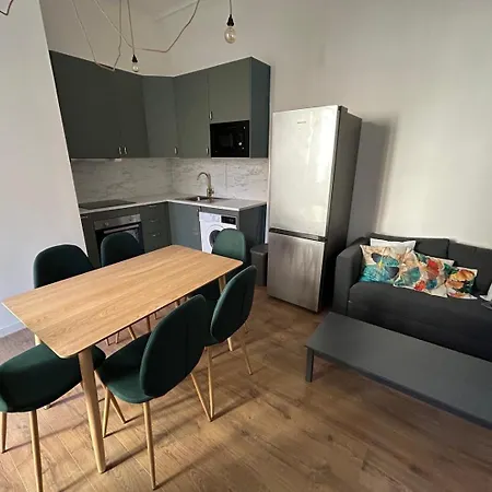 T3 Renove En Plein Centre Rennais